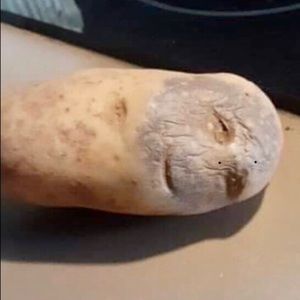 Meet your Posher, Alexander